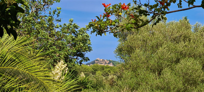 Burgblick Capdepera Finca Bona Sort